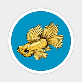 FineGoldFish Magnet